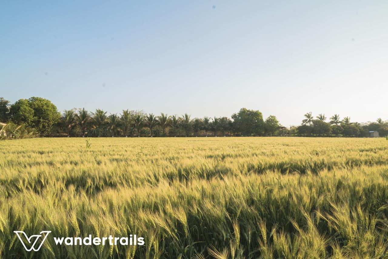Lookout Villa - A Wandertrails Stay Sasan Gir Bagian luar foto